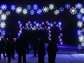 Visitors take in the Enchanted Forest during the Blue Cross Light Walk on a chilly Friday, Nov. 16, 2018.