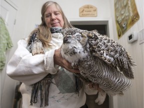 Living Sky Wildlife Rehabilitation executive director Jan Shadick holds the body of an owl, believed to have died after consuming a poisoned for rodent, in the lobby of Living Sky in Saskatoon, SK on Tuesday, November 20, 2018.