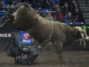 Wacey Finkbeiner is bucked off of bull Muddy Waters during the first night of Professional Bull Riding at SaskTel Centre in Saskatoon, SK on Friday, November 22, 2018.