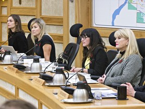 Half of Saskatoon city councillors — including, from left, Coun. Mairin Loewen, Coun. Cynthia Block, Coun. Sarina Gersher and Coun. Bev Dubois, seen here in November of 2016 — are not employed beyond their roles on city council.