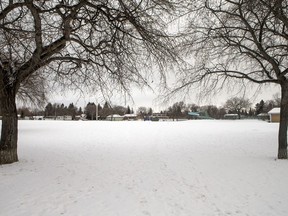 The north W.W. Ashley Park near the intersection of Lansdowne and Taylor, which the City of Saskatoon plans to build a dry pond in efforts to address flooding concerns in the area, in Saskatoon, SK on Tuesday, December 4, 2018.