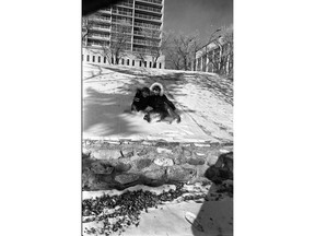 A photo of children tobogganing in the park next to the Bessborough Hotel, from Dec. 6, 1976. (Provincial Archives of Saskatchewan StarPhoenix Collection S-SP-A9965-2)