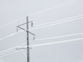 Although picturesque, the recent frost is caused severe problems for SaskPower and its power lines around the province on Tuesday, Dec. 4, 2018.