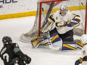 BESTPHOTO  SASKATOON,SK--JANUARY 25/2019-0126 Sports Huskies Hockey- University of Saskatchewan Huskies defence Sam Ruopp scores on British Columbia Thunderbirds goalie Rylan Toth during first period of U Sport Men's Hockey action at Merlis Belsher Place in Saskatoon, SK on Friday, January 25, 2019.