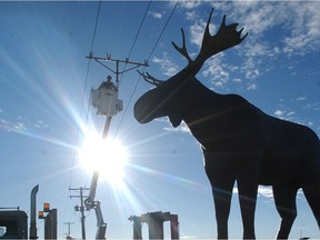 For decades, Moose Jaw's Mac the Moose statue held the record at almost 10 metres tall. But then Norway put up a silver moose statue between its capital city of Oslo and Trondheim, narrowly edging out Mac by 30 centimetres.