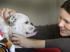 Colleen Dell voluntarily takes Anna-Belle Sudie visiting. Students in a lounge area at the College of Veterinary at the University of Saskatchewan were able to enjoy Anna-Belle while Anna-Belle can lift students spirits, October 3, 2013