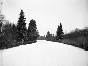 A photo of a snowy scene at the Saskatoon Forestry Farm, from Jan. 10, 1955. (Provincial Archives of Saskatchewan StarPhoenix Collection S-SP-B3273-1)