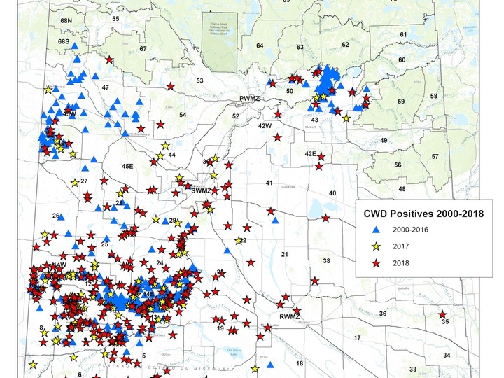  This map from the Canadian Wildlife Health Cooperative shows the identified positive cases of chronic wasting disease in the province up to Feb. 19, 2019. (Canadian Wildlife Health Cooperative)