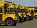 A lineup of school buses sits outside the Prairie Valley School Division north of Regina.