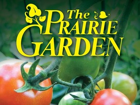 The 80th edition of The Prairie Garden (for Saskatoon StarPhoenix Bridges gardening column, April 19, 2019)