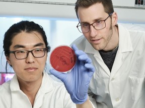 Dongyun Jung and Joe Rubin (right) study "superbugs" in imported food.