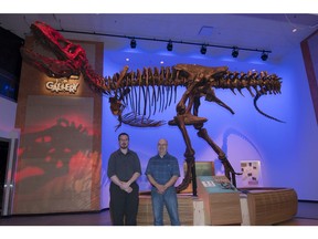 Ryan McKellar, left, curator of invertebrate palaeontology at the Royal Saskatchewan Museum (RSM) and Wes Long, RSM palaeontology curatorial assistant, stand in front of Scotty, the largest Tyrannosaurus rex ever discovered. Scotty's official unveiling will take place Friday at the RSM.