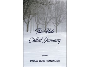 This Hole Called January by Paula Jane Remlinger (for Bill Robertson book reviews)