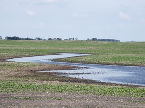 Standing water in a field just south of Francis on June 24, 2019. Francis is approximately 70 kilometres southeast of Regina.