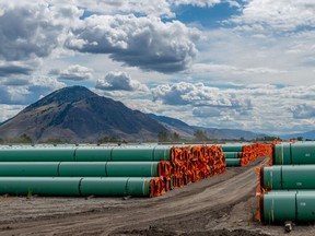 Steel pipe to be used in the oil pipeline construction of the Canadian government's Trans Mountain Expansion Project lies at a stockpile site in Kamloops, British Columbia, Canada June 18, 2019. REUTERS/Dennis Owen