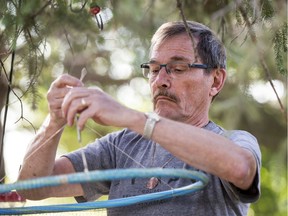 Ron Jensen, who captures and bands hummingbirds, prepares a trap south of Saskatoon.