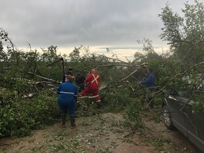 Workers clear downed trees in Murray Doell Campground near Meadow Lake, Sask. on June 29, 2019. (Evan Purves/submitted)