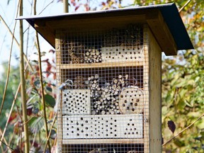 A good example of a bee house.