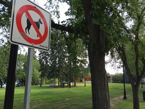 People can be seen on July 30, 2019 in the distance walking a black dog through Kiwanis Park in downtown Saskatoon, where dogs and cats have been banned since 1982. Council will consider on Aug. 26, 2019 whether to study the possibility of allowing dogs on leashes to be allowed in the park. (Phil Tank/The StarPhoenix)