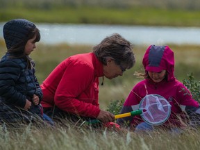 The Meewasin Valley Authority hosted it's first "bioblitz" this past Saturday, August 17th, 2019. Candace Savage and her two granddaughters, Laurel Savage (Age 4), and Asha Savage (Age 8) explore the Northeast Swale looking for the sharp-tailed grouse and other things in Saskatoon, SK on Saturday, August 17, 2019.