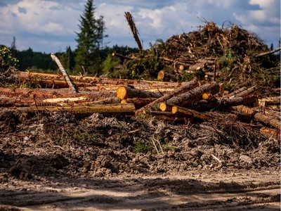 Northern Sask. residents raise concerns about forestry