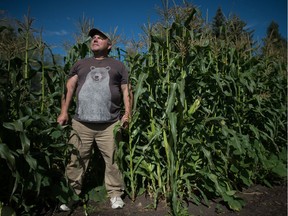 Rick Morrell stands in the garden where he has been growing corn, among other things, on the Aloha Fest grounds on a rural property near Qu'Appelle. Harvests from the garden are used to feed festival attendees.
