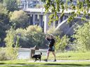 Un homme promène son chien le long du sentier Meewasin dans le parc commémoratif Kiwanis à Saskatoon, en Saskatchewan, le vendredi 6 septembre 2019. Les animaux de compagnie ne sont pas autorisés dans le parc riverain, mais cela pourrait changer car la mairie étudie la levée de l'interdiction.