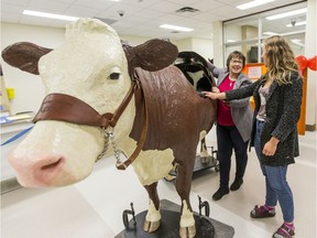 Carolyn Cartwright, left, demonstrates the use of Agnes, a cow simulator, to third-year vet student Mattie Smith.