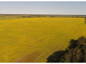 A Saskatoon real estate agent is selling 23,800 acres of land near The Pas, Manitoba, which he believes is the largest single listing currently in Canada.