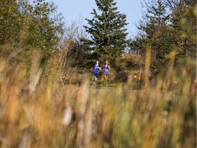 SASKATOON,SK--OCTOBER 04/2017-1005 Sports Cross-Country- Runners take part in the City high-school cross-country championship at Lakewood Park in Saskatoon, SK on Wednesday, October 4, 2017.
