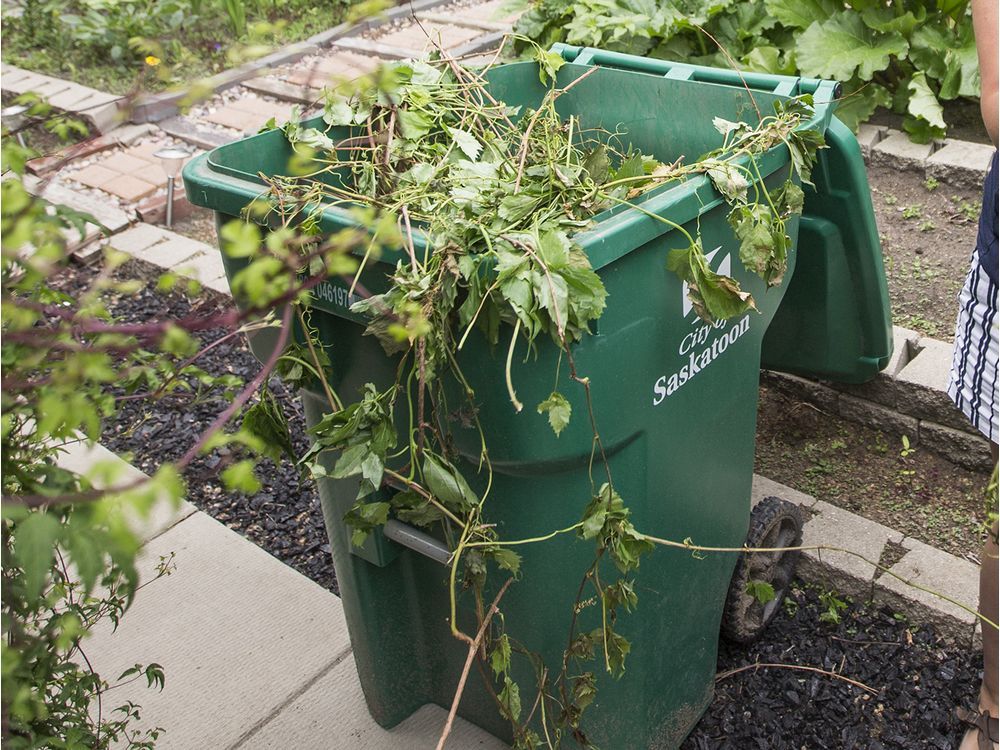 Saskatoon City Council Favours Spending 10 Million On Organics Carts   250135311 0703 Green Bin Mbs 002 W 