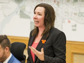 Coun. Ann Iwanchuk is the only city councillor not seeking re-election in this fall's municipal election.