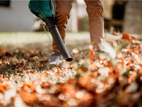 Gas-powered leaf-blowers have been banned in Washington, D.C. over concerns about their impact on worker health due to emissions of harmful fumes and noise, as well as pollution concerns.