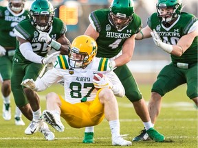 The Alberta Golden Bears' Tyler Turner is brought down by Saskatchewan's Nelson Lokombo (left) and Ben Whiting during Saturday's Canada West football semi-final.