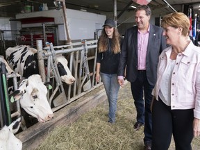 Marie-Claude Bibeau, Minister of Agriculture and Agri-Food, Pierre Lampron, president of the Dairy Farmers of Canada and farm owner Veronica Enright, right to left, walk through the stalls of a dairy farm in Compton, Que., Friday, Aug. 16, 2019. Canada's agriculture minister is urging Canadian National Railway Co. and its workers to reach a deal to alleviate the impact the ongoing strike is having on farmers.