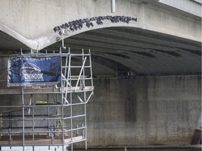 Pigeons perch on the Sid Buckwold Bridge as work to upgrade it continues in Saskatoon, SK on Wednesday, September 11, 2019.