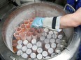 A medical technician prepares embryo and sperm samples for freezing at the Laboratory of Reproductive Biology CECOS of Tenon Hospital in Paris, France, September 19, 2019. Picture taken September 19, 2019.