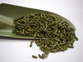 Alfalfa pellets. (Photo courtesy Alfalfa Greens)