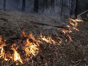 A firefighter manages a controlled burn to help contain a larger fire near Falls Creek, Australia, Sunday, Jan. 5, 2020. Canadian wildfire experts say Canada is very vulnerable to the kind of devastating wildfires ravaging Australia right now.