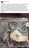 A screen grab of a Facebook post shared on Jan. 6, 2019 by a woman alleging she found her dog playing with a plastic bag containing meat laced with razor blades.