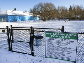New rules governing off-leash dog parks could be coming.