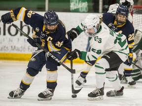 Huskies' forward Kate Ball battles for the puck with UBC forward Mathea Fischer during playoff action at Merlis Belsher Place on Saturday.