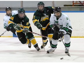 The University of Regina Cougars women's hockey team took on the University of Saskatchewan Huskies on Sunday night at the Sherwood Twin Arenas. (left to right) Cougars Rianne Wight and Gina Campbell try to get the puck from Huskies Breanne George. TROY FLEECE/Leader-Post