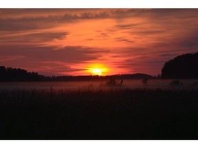 In difficult times, we can find comfort in the beauty of our home province. To that end, we are sharing the work of members of the Saskatchewan Scenery photography group. We thank them for their generosity in sharing these images. Today, we feature the work of Fran Bryson who took this image in the Carrot River area.