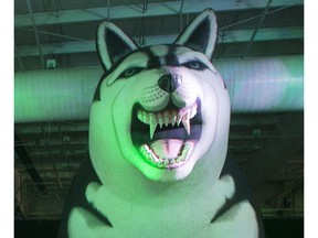 The annual Huskie Salute, a social event for U of S student-athletes, has been cancelled in 2020 due to the global pandemic outbreak. Award winners will be announced through a multi-media platform.