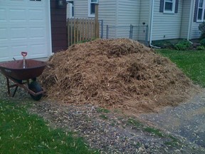 Top up the mulch layer to 3-4 inches deep where it has become sparse with some post peelings, bark, coarse peat, compost or other organic options. (Photo courtesy Joe Hoover)