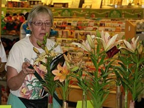 Margaret Driver judging the 2010 Lily Show. (Photo courtesy the Canadian Prairie Lily Society)