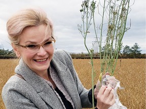 University of Saskatchewan PhD student Karolina Pusz-Boche&#324;ska holds a canola plant. (photo by Tyler Wist) (for Saskatoon StarPhoenix Young Innovators series, June 2020)