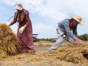Western Development Museum volunteers share the story of threshing through harvest demonstrations during Pion-Era, July 8, 2017.