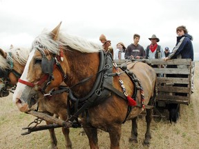 Horses pull wagon at Champetre County